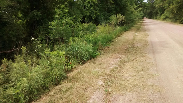 Harris Road, where Jim Anderson spent nearly an hour lying half-naked, hands cuffed underneath him, upside down in the ditch on December 7, 2009. (Photo courtesy of Jacquelyn Miller)