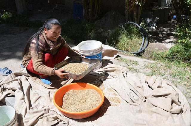 India’s agriculture sectors have to bolster productivity by adopting efficient business models and forging public-private partnerships. (Photo: Neeta Lal / IPS)