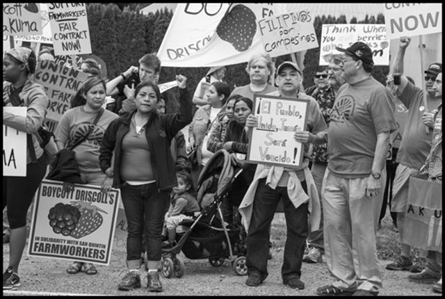 Farmworkers march to the offices of Sakuma Farms in 2015. (Photo: David Bacon)