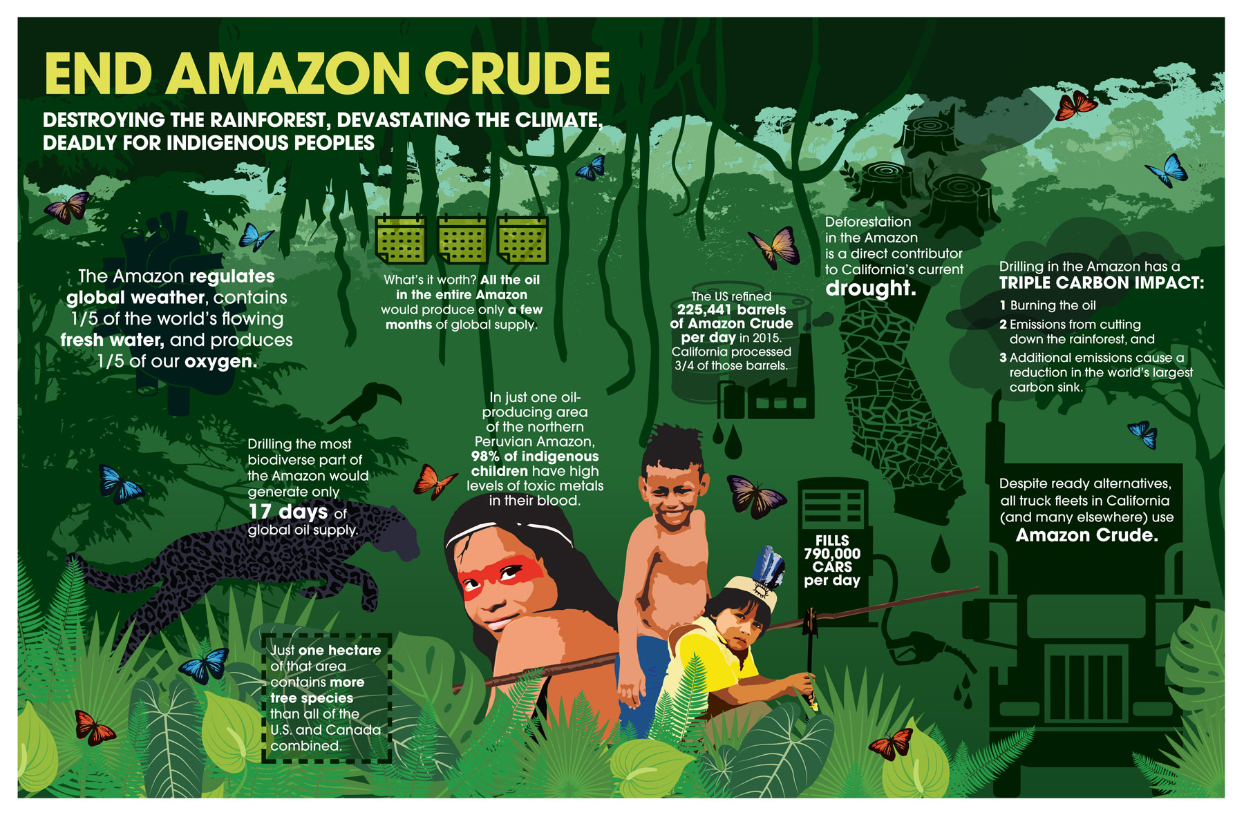 (Infographic by Amazon Watch. Click to enlarge.)