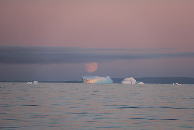The moon rises in silent majesty over Clyde River, floating bergs drifting by. The dangers of oil and gas drilling in such a remote and sublimely beautiful place cannot be over-estimated. (Photo: Chris Williams)