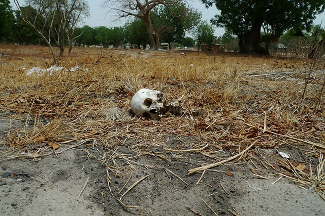 A skull lies in the “killing field” in Leer, South Sudan. This area at the edge of town is littered with unburied human remains.