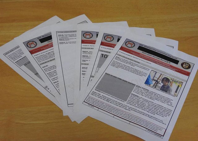 Emails and reports obtained under the U.S. Freedom of Information Act from the U.S. Marine Corps include tallies of the number of protesters outside the base at the daily sit-ins and the names of some demonstrators. The one on top contains a profile and photo of journalist Jon Mitchell. (Photo: Jon Mitchell)