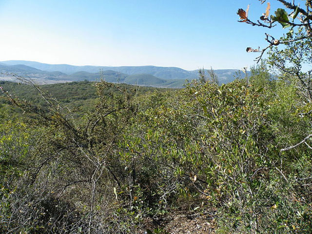 The northeastern municipality of Guadalcazar, Mexico, in the state of San Luis Potosí. It was Guadalcazar's decision to require, then reject, a municipal permit for the operation and expansion of a hazardous waste facility that sparked Methalclad's 1997 NAFTA Chapter 11 ISDS case. (Photo by Amante Darmanin licensed under the Creative Commons Attribution-Share Alike 2.0 generic license)