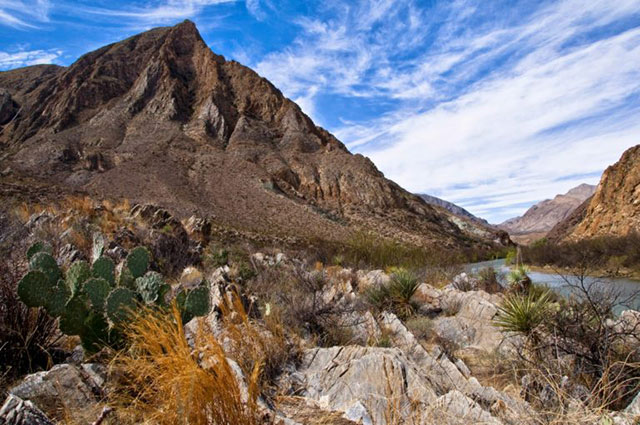 The Great Chihuahuan Desert aka. Cactus Country, the locale for one of the early NAFTA legal battles involving the environment. (Photo by David Lauer licensed under the Creative Commons Attribution-Share Alike 2.0 generic license)