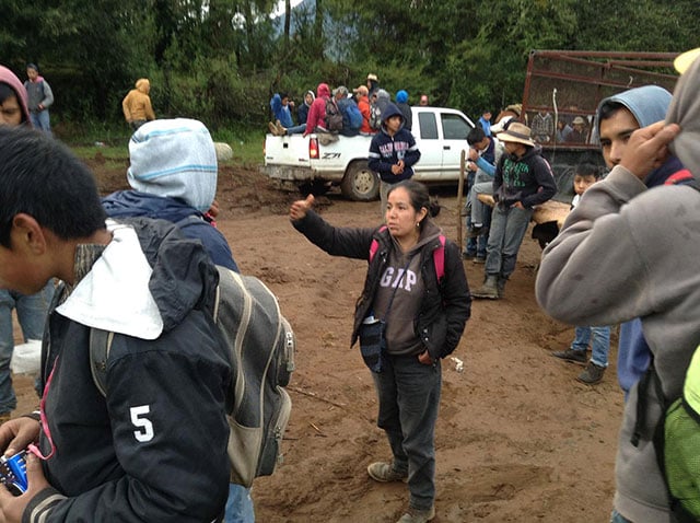 Leticia Medina, a forest technician, talks with one of the reforestation workers. In a regular day, they plant more than 500 little pines in different areas of the forest. (Photo: Lourdes Cárdenas)