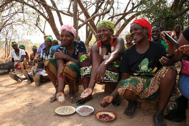 Pulses are good for nutrition and income, particularly for women farmers who look after household food security, like those shown here at a village outside Lusaka, Zambia. (Credit: Busani Bafana / IPS)
