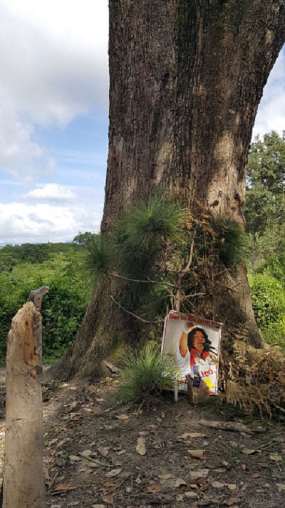 A small altar for Berta Cáceres in Rio Blanco on the road once blockaded by the local Lenca community to prevent machinery for the notorious Agua Zarca dam from passing. (Photo: Suzanne Llewellyn)