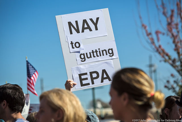 Protester outside Sen. Cassidy's town hall with sign expressing concern about the potential gutting of the EPA by the Trump administration. (Photo: Julie Dermansky) 