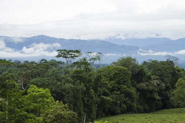 The Talamanca mountain range is the highest elevation in the south of Central America. It extends from the southern part of the Central Valley of Costa Rica and continues through the territory of Panama.