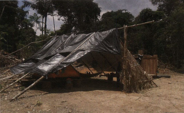 A tarp provides the only protection from the elements for the workers at this logging camp. (Photo: Lunaé Parracho)
