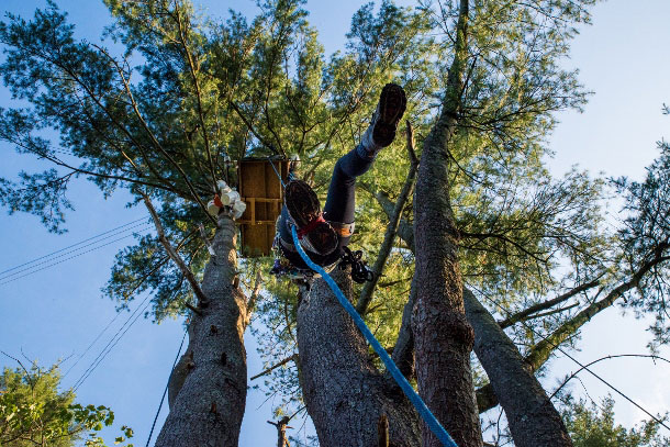 A member of Camp White Pine ascends to a platform dozens of feet above ground. The tree-sit directly resists eminent domain efforts by Energy Transfer Partners resulting in delays on clear cutting. (Photo: WNV / Chris Baker Evens)