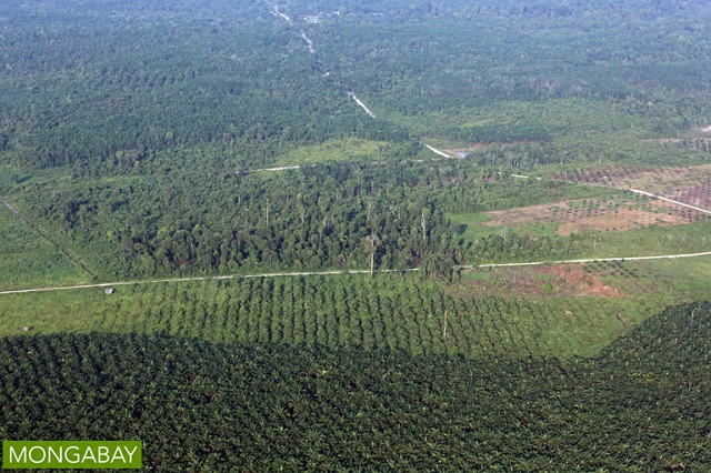 Forest fragmentation due to oil palm plantations in Indonesia. Photo by Rhett A. Butler for Mongabay.