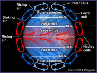 Hadley Cells have expanded over Texas. Where the air in the Hadley Cells descends, steering currents are weak. Image from: COMET Program, a part of the University Corporation for Atmospheric Research’s (UCAR’s) Community Programs (UCP) and is sponsored by NOAA’s National Weather Service (NWS).