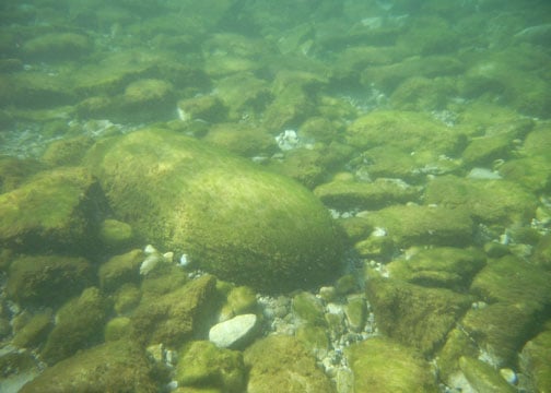 A 1,000 lb general purpose bomb found in Lake Michigan, in vicinity of the Waugoshance Lighthouse, once used as a bombing target during WWII. (Photo: Courtesy of James Barton)