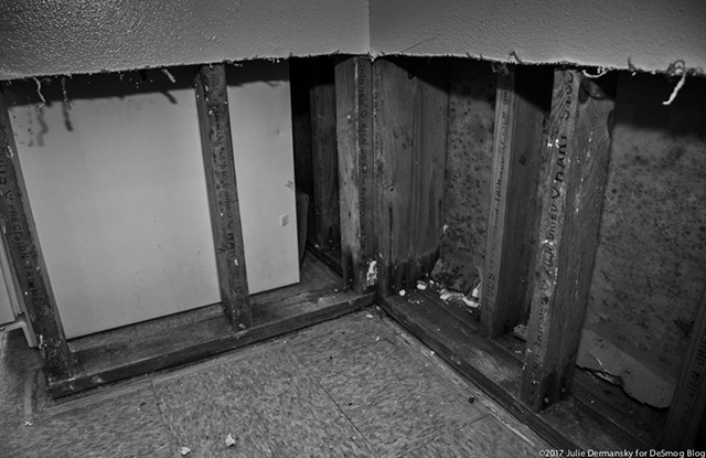 Mold in Angela Andgelle’s ground floor apartment in the Prince Hall housing complex in Port Arthur Texas, October 13, 2017. (Photo: Julie Dermansky)