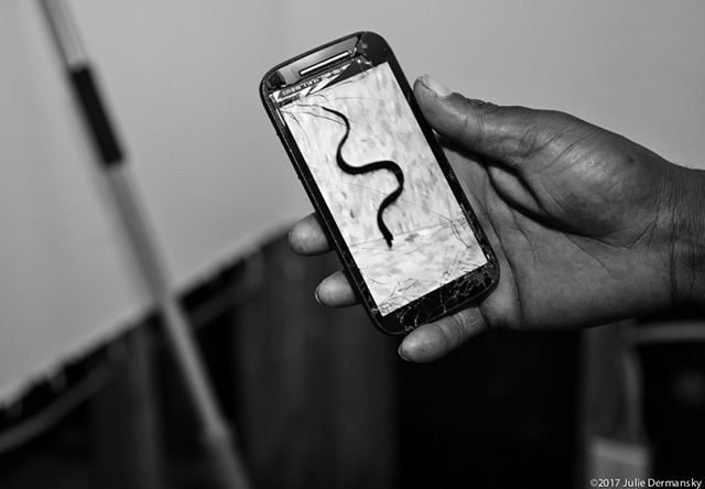 Cell phone photo of a snake that Lionel Junior removed from his apartment in the Prince Hall complex in Port Arthur, Texas, following Hurricane Harvey. (Photo: Julie Dermansky)