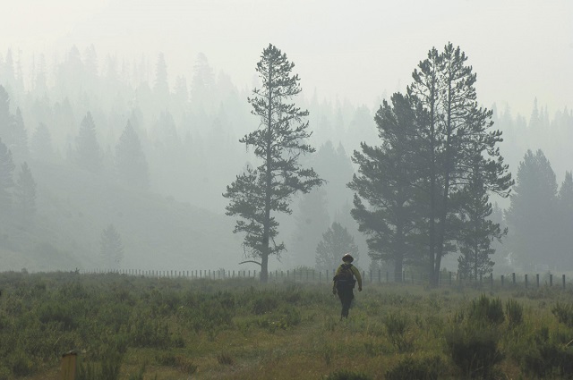 Lava Mountain Fire, Teton National Forest. (Photo: Bruce Melton)