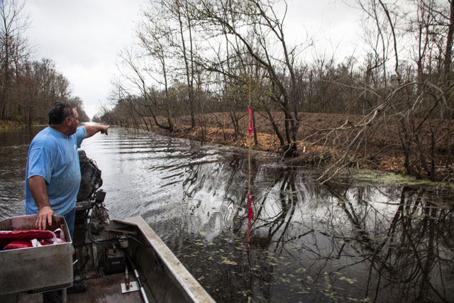 Jody Meche, president of the Louisiana Crawfish Producers Association-West looking at the damage caused by the instaltion of the Bayou Bridge pipeline, that was shut down on Friday. (Photo: © 2018 Julie Dermansky)