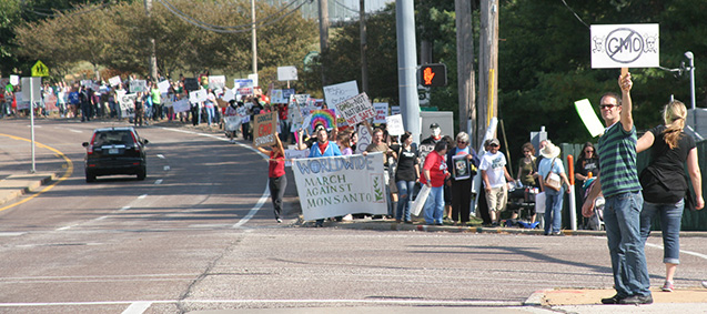 Small portion of demonstrators at MWH.