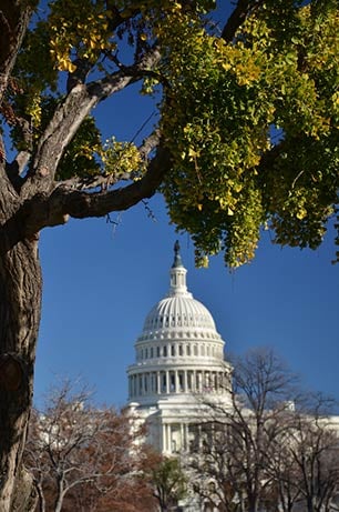 Capitol hill.