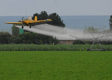 bohn herbicide