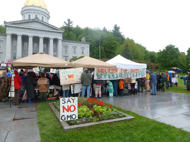 Cedar Circle Farm and the Vermont Right To Know Coalition march with hundreds of Vermonters at the march Against Monsanto, May 25, 2013. (Photo: <a href=