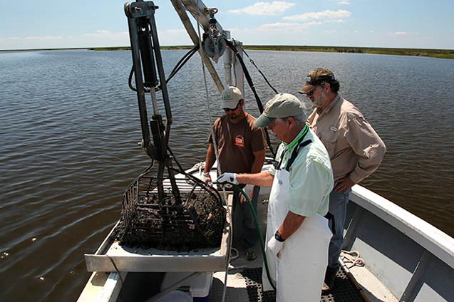 Dr. Ed Cake, a biological oceanographer and marine biologist, on an oystersampling trip off the coast of Louisiana. (Photo: Erika Blumenfeld)