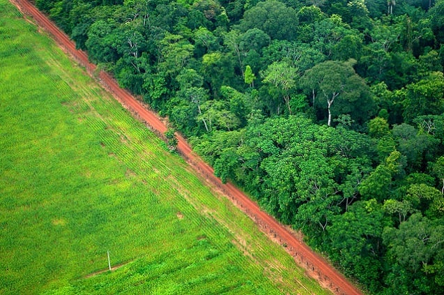 An aerial shot shows the contrast between forest and agricultural landscapes near Rio Branco, Acre, Brazil. (Photo: <a href=