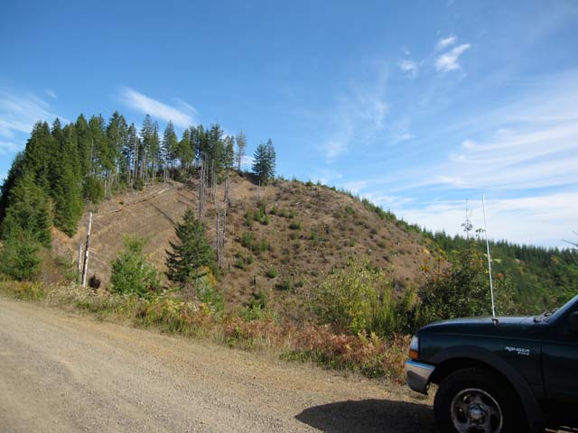 Forest clear cut, Highway 36 Corridor, Triangle Lake, Oregon. (Photo: Evaggelos Vallianatos)