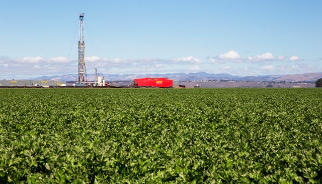 A oil drilling tower sits among celery plants near Santa Maria, CA. Plans were recently approved for Santa Maria Energy to drill 381 new wells nearby.