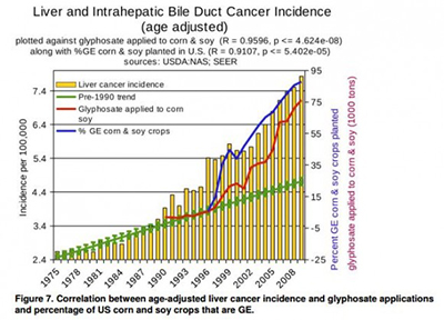 Liver Cancer