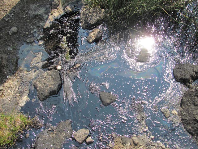The remains of a bird are mired in an oily pool at the site of a tar sands test mine. (Courtesy of Before It Starts)