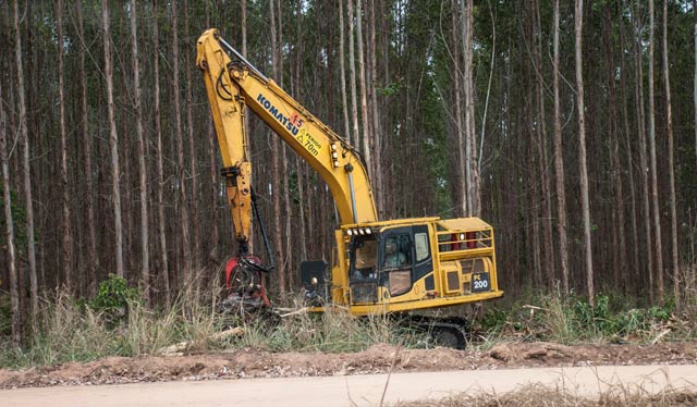 The machine that cuts down the eucalyptus trees. (Photo: Santiago Navarro F)