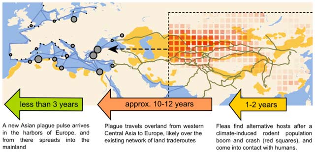 How Asian climate fluctuations led to plague outbreaks in Europe. (Image: Schmid et al / PNAS, CC BY-NC-SA)