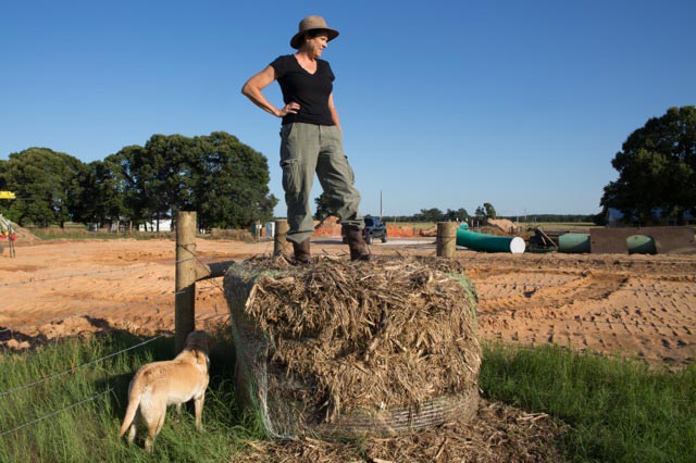 Julia Trigg Crawford next to the easement on her land in Sumner, Texas that TransCanada condemned to build the southern route of the Keystone XL pipeline. (Photo: ©2013 Julie Dermansky)