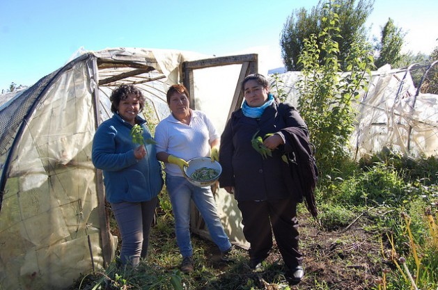 From left to right: Nancy Millar, Blanca Molina and Patricia Mancilla on Molina’s small farm near the town of Valle Simpson in the southern Chilean region of Aysén. The three women belong to the only rural women’s association in the Patagonia wilderness, which has empowered them and helped them gain economic autonomy. Credit: Marianela Jarroud/IPS