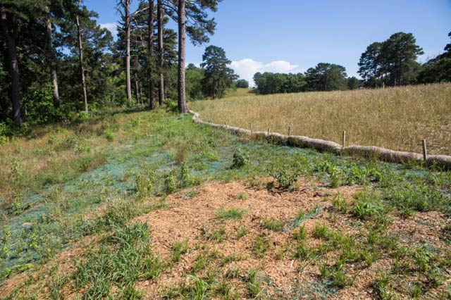 Efforts to control erosion that began after the installation of the Gulf Coast Pipeline on Eleanor Fairchild’s land in Winnsboro Texas have failed. According to Fairchild her land has yet to be restored to its original condition. (Photo:©2013 Julie Dermansky) 