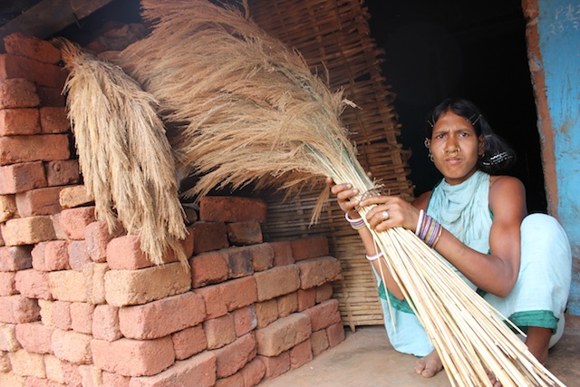 Tribal women collect fistfuls of ‘broom grass’ from the hill slopes of the Niyamgiri range in Odisha, India. Bundles tied together with hemp rope sell for 60 cents apiece in village markets, though urban traders get double the price. (Photo: Manipadma Jena/IPS)