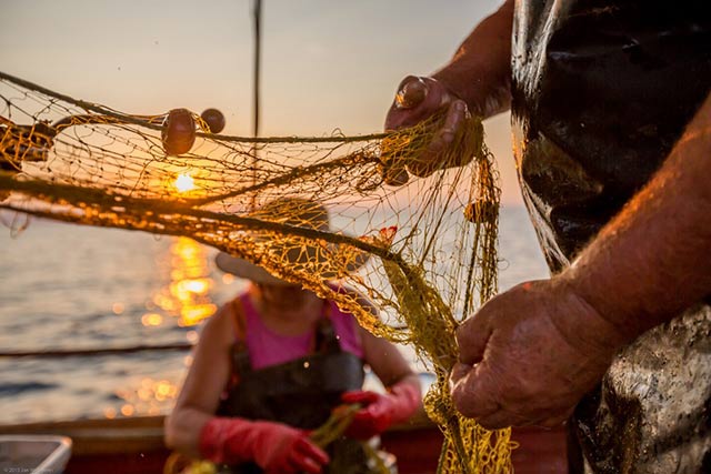 Untangling Greece one fish at a time. Fisherman in Kiveri, Peloponnese.
