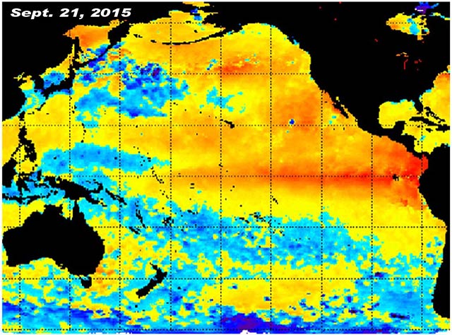 Unprecedented warming across huge expanses of the Pacific Ocean. But is this just another meaningless coincidence of nature?
