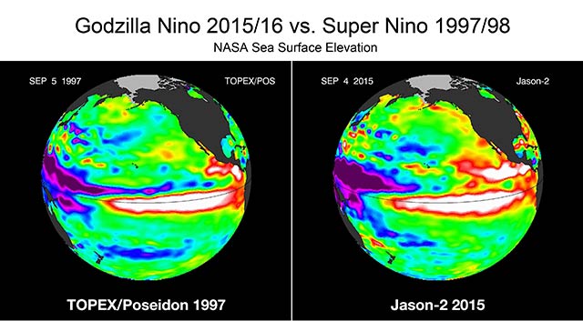 NASA Sea Surface Height: The current Godzilla Niño is significantly more extreme than the Super El Niño of 1997/98 as is shown by this image of sea surface height from NASA satellites. El Niño exhibits a characteristic increase in sea surface elevation that is not interpreted as easily with the North Pacific warming. These images were made with the Topex/Poseidon and Jason-2 gravity measuring satellites. Click on the image above to see a side-by-side animation of the evolution of the 1997/98 Super Niño and the evolution to date of the current Godzilla Niño.