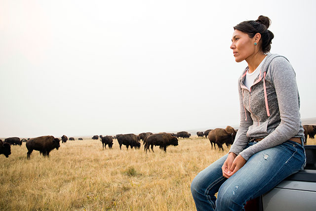 Edmo, who was previously the Bison Project Coordinator for the tribe, watches over bison at the Blackfeet Nation's Bison Reserve in Browning, Montana. (Photo: Rebecca Drobis / Earthjustice)