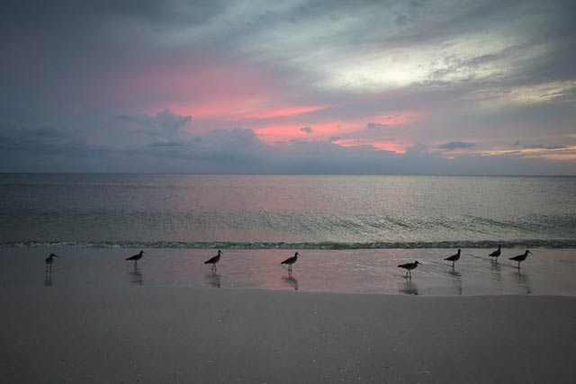 Beach in Bonita Springs. (Photo: ©2015 Julie Dermansky)