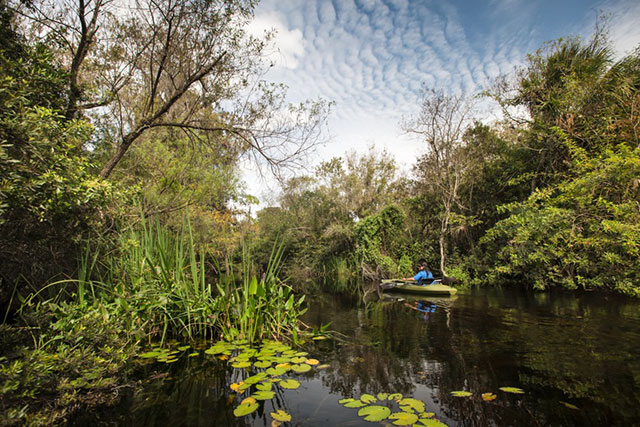 Nicole Williams on the Turner River, with a kayak provided by Everglades Adventure Tours. (Photo: Julie Dermansky)