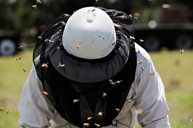 A beekeeper works in Umatilla, Florida. (Photo: Melissa Lyttle for Earthjustice)
