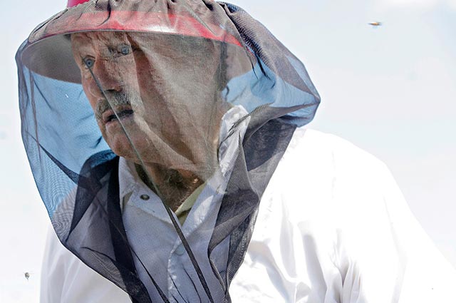 Beekeeper Bill Rhodes. (Photo: Melissa Lyttle for Earthjustice)