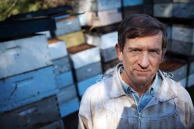 Beekeeper Steve Ellis. (Photo: Chris Jordan-Bloch / Earthjustice)