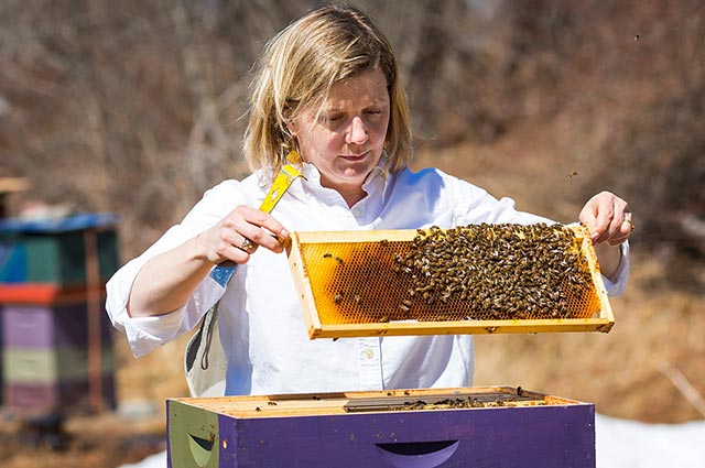 Beekeeper Erin MacGregor-Forbes. (Photo: Jason P. Smith for Earthjustice)