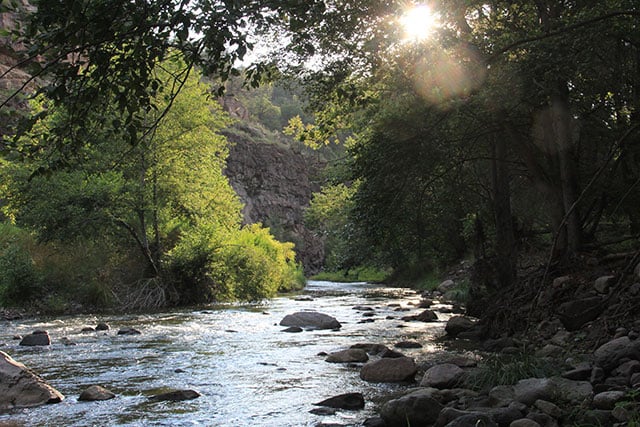 The Free Flowing Gila River on its way to Arizona. (Photo: Chris Williams)